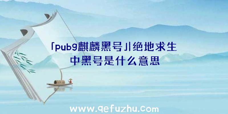 「pubg麒麟黑号」|绝地求生中黑号是什么意思